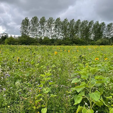 Korsholt-natur 135e Apartman Sindal