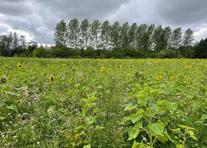 Korsholt-natur 135e Lejlighed Sindal